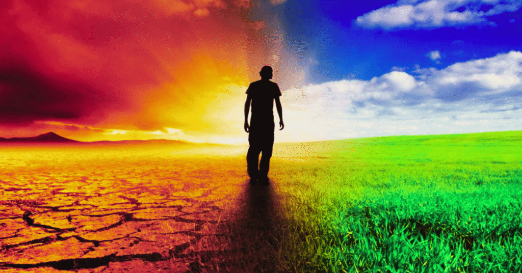 transformation life shift workshop